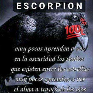 no me jusges