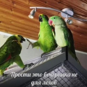с днем рождения