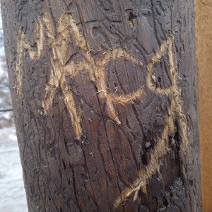апакалепсис