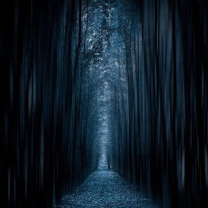 In my Dark Way