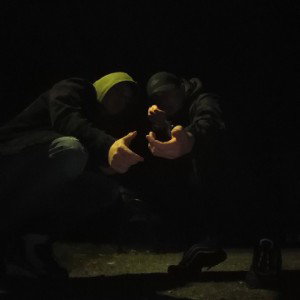 COVID-19 FREESTYLE