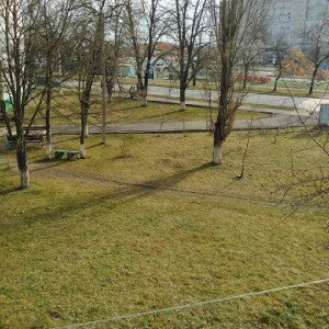 Новичок