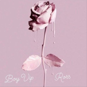 Boy Vip Ross