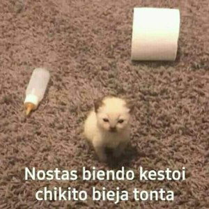 sin vicios 
