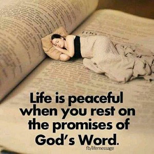 Believe in God ⛪