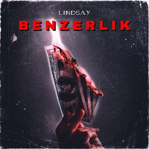 Benzerlik