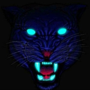 Trap (12:20)