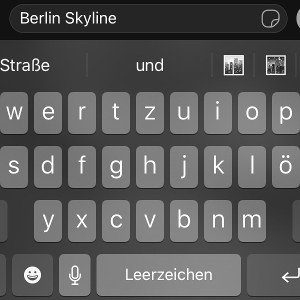 Schalemale -Berlin Skyline