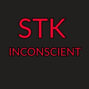 stk encore une foit 