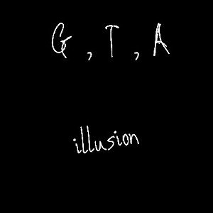              illusion              