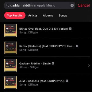 dilligen skuppa que g mawna