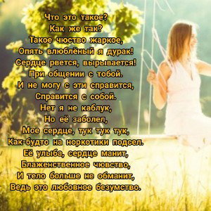 любовное безумство 