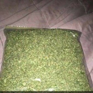 this to fast for you lol