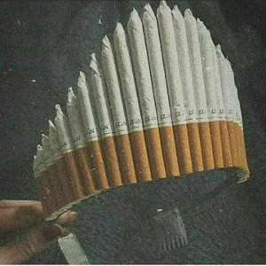 پاییز غروب نداره!