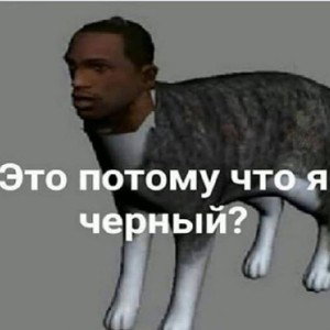 Жизнь Расты