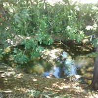 Again_15-28
