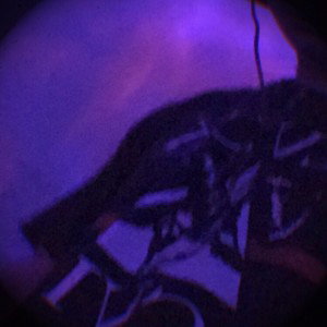 sad piece (prod. P4RA)