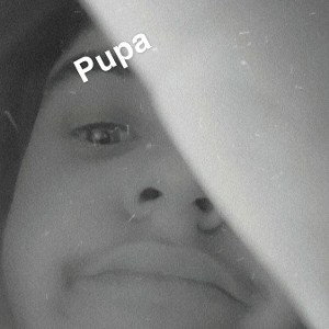 LuKa ft. carty - paradise