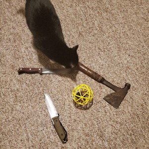 Respect Dat Cat