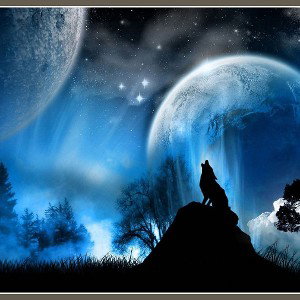  lobo y luna 2da parte