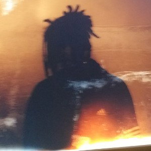 NL$- Zonmai