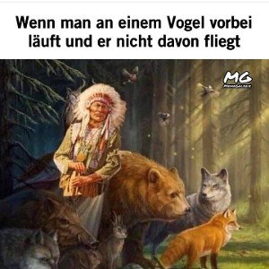 Deseze37 - Am Ende des Laufes