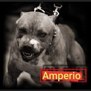 Seguimos Activos