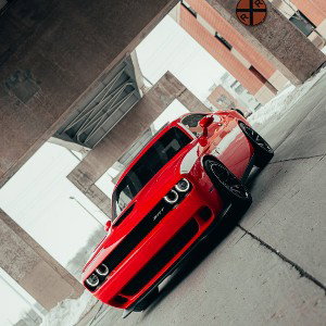             Low rider                  