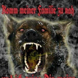 Danke Frau Merkel 