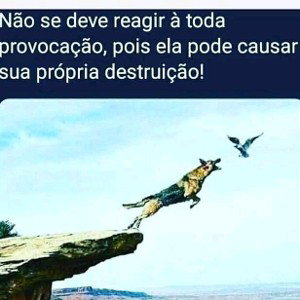 CharlieBrownJrtamoaínaatividade∆PYSYCKHODHELYK VERSIONS ®