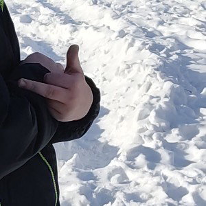 я бы всё сам