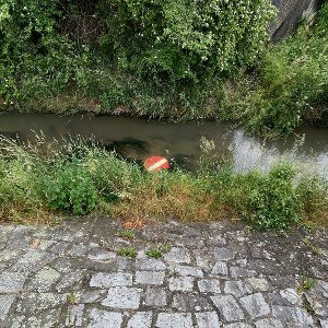Renn, ich bin wieder frei by MERA158