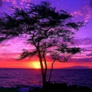 Purple Sunset Ft. Dubz