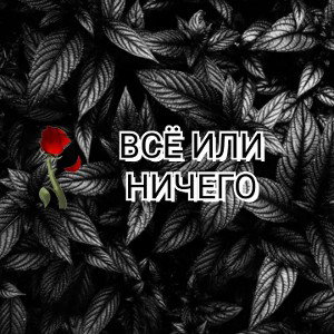 Всё или ничего