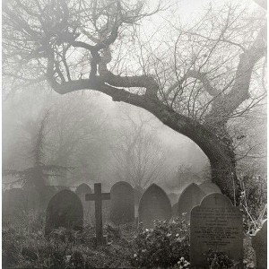 IN THE GRAVEYARD