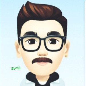 awsi group 