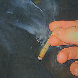 Brisko - Cannabis
