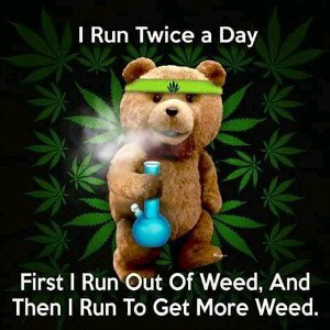 I need a rider to day I die 