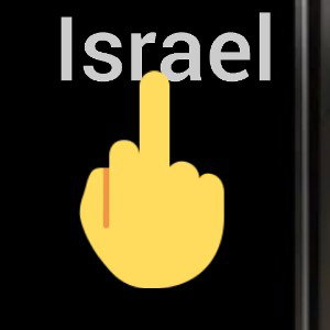 f*** you Israel
