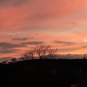 Nebo ▪︎ Kaltes Erwachen 