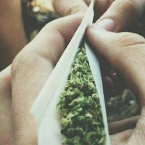 faz a sesh