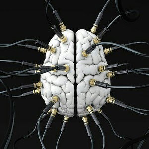 Brain Wire