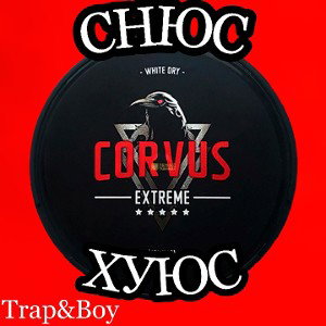 Trap&Boy-Снюсы Хуюсы