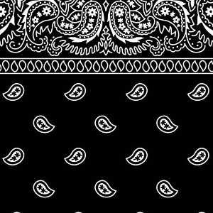 Mr. Black Bandana (Freestyle)