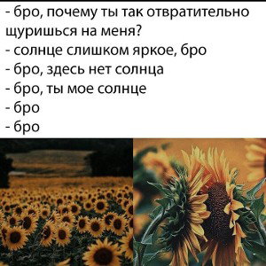 на коротке. 