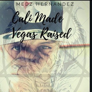 Medz The Plugg