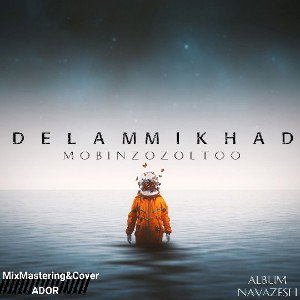 DelamMikhad{1}