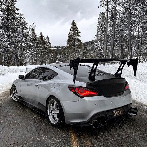 COBRA