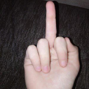 цветы
