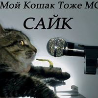 проверка связи